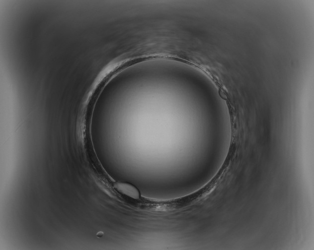 X0000088380056200705221102