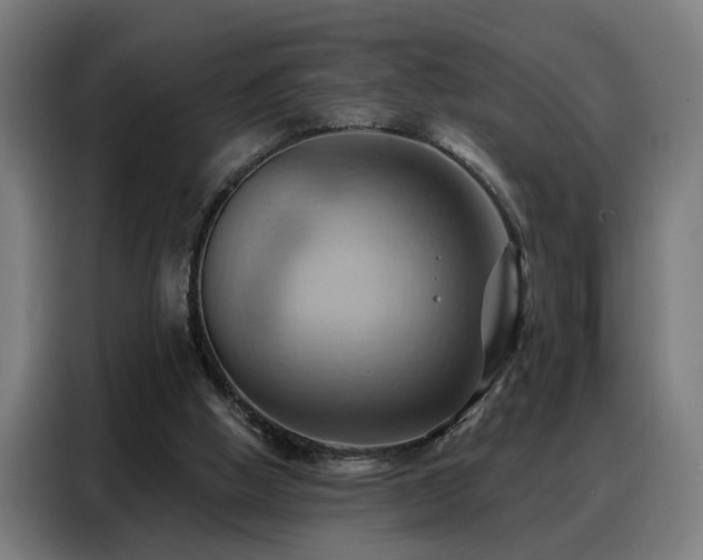 X0000088380058200705221102