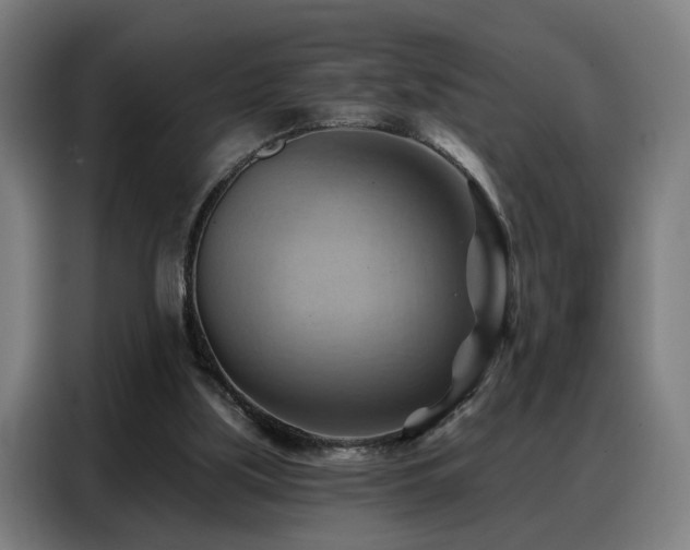 X0000088380059200705221102