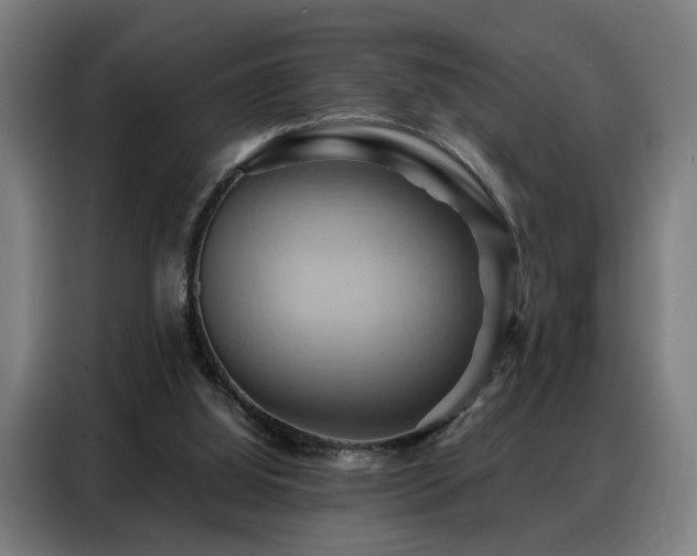 X0000088380060200705221102