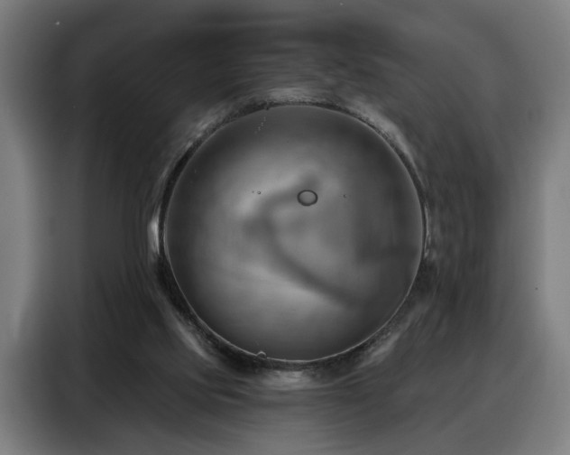 X0000088380061200705221102
