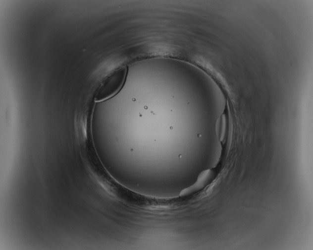 X0000088380062200705221102