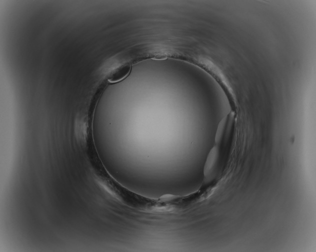 X0000088380063200705221102