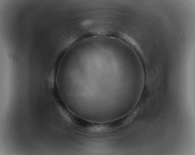 X0000088380065200705221102