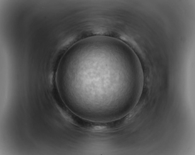 X0000088380066200705221102