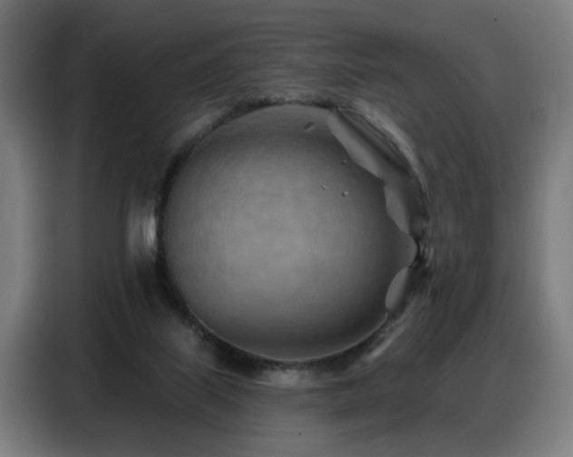 X0000088380067200705221102