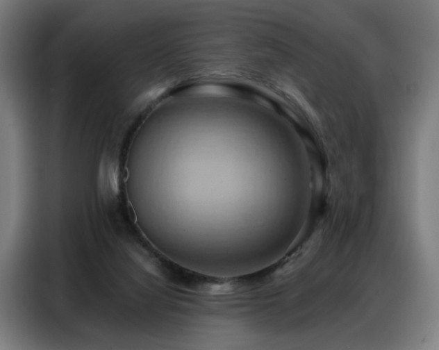 X0000088380068200705221102