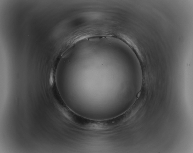 X0000088380069200705221102