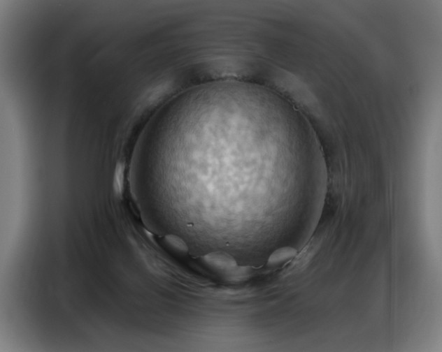 X0000088380070200705221102