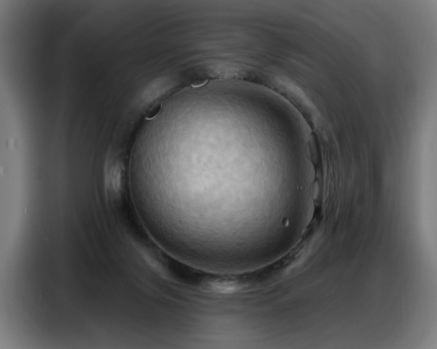 X0000088380071200705221102
