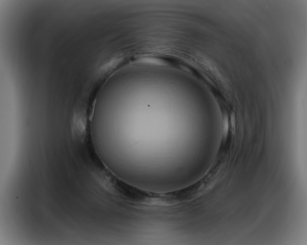 X0000088380072200705221102