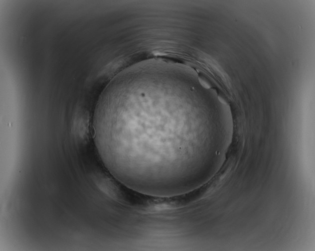 X0000088380073200705221102
