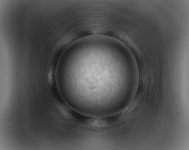X0000088380074200705221102