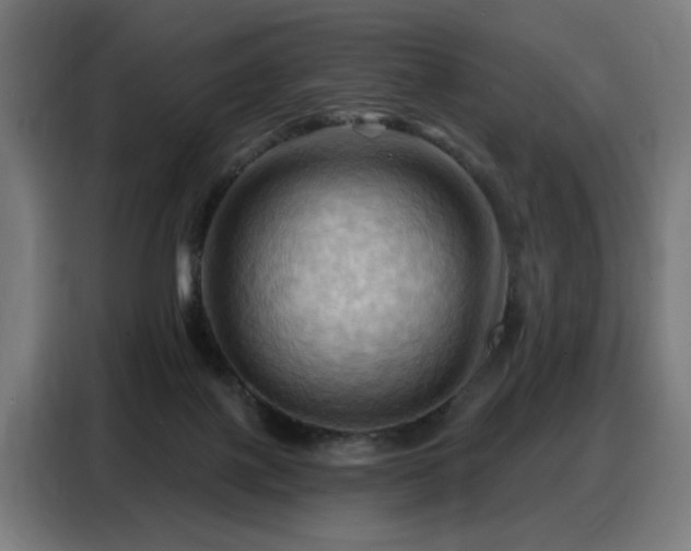 X0000088380075200705221102