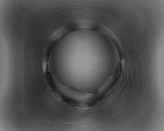 X0000088380076200705221102