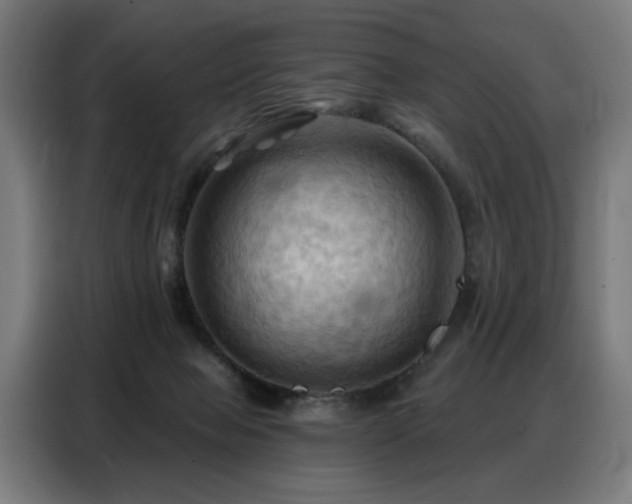 X0000088380077200705221102