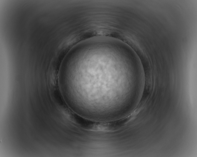 X0000088380078200705221102
