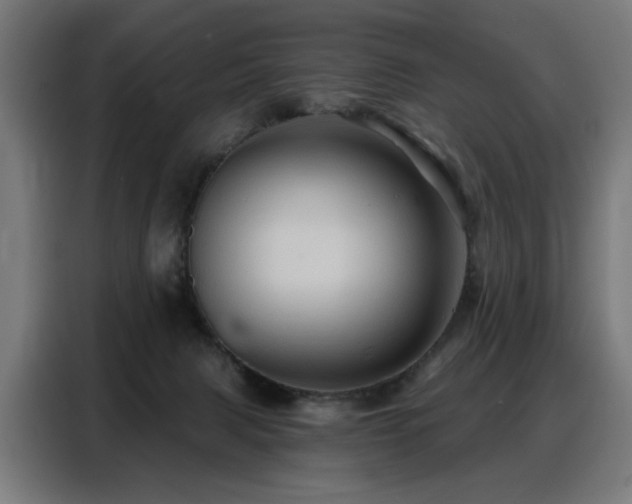 X0000088380079200705221102