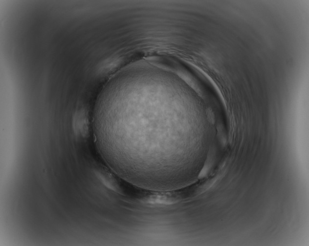 X0000088380080200705221102