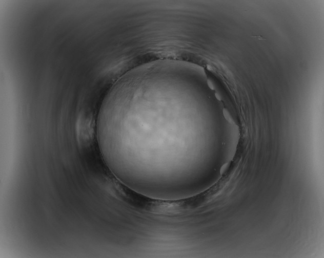 X0000088380081200705221102