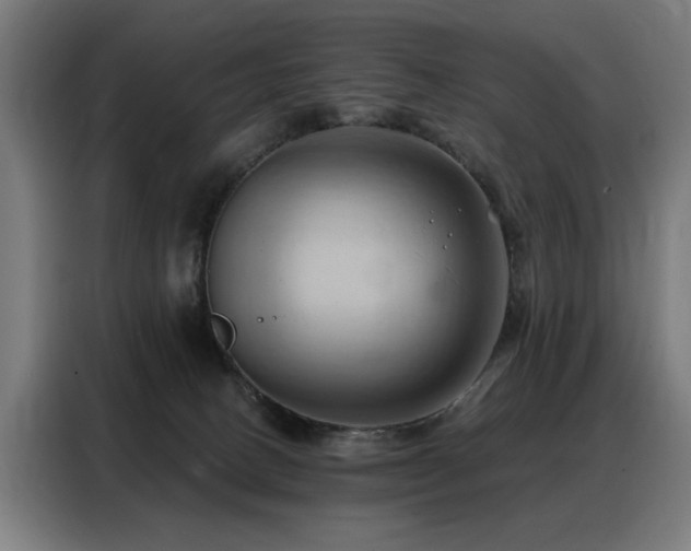 X0000088380082200705221102