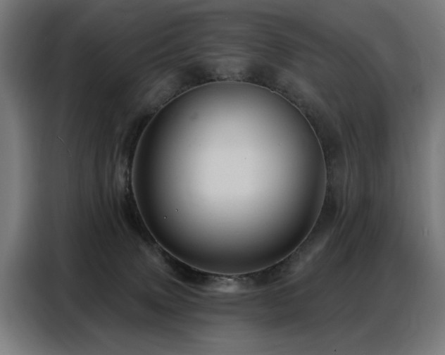 X0000088380083200705221102