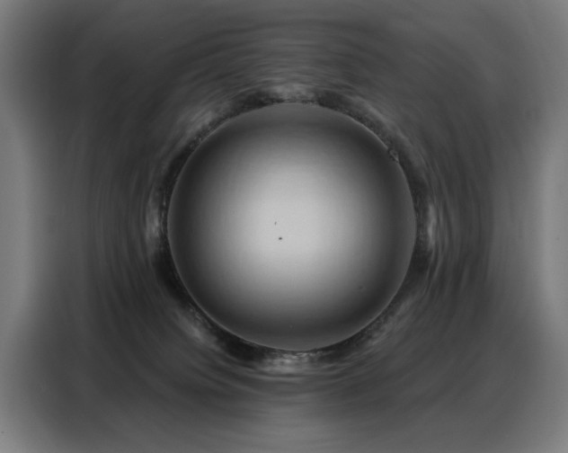 X0000088380084200705221102