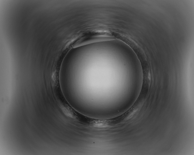 X0000088380088200705221102
