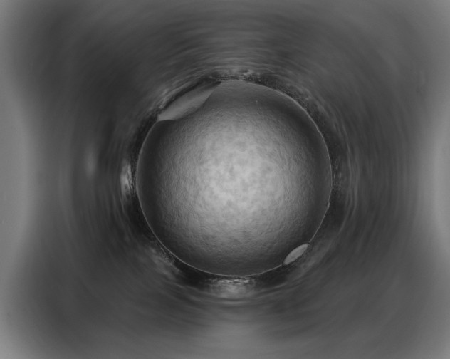 X0000088380089200705221102