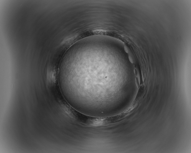 X0000088380090200705221102