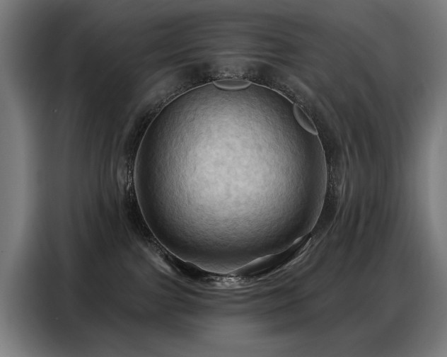 X0000088380091200705221102