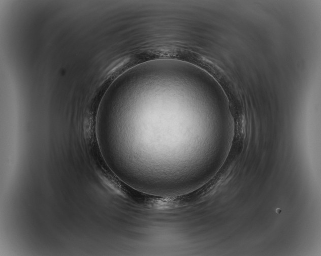 X0000088380092200705221102