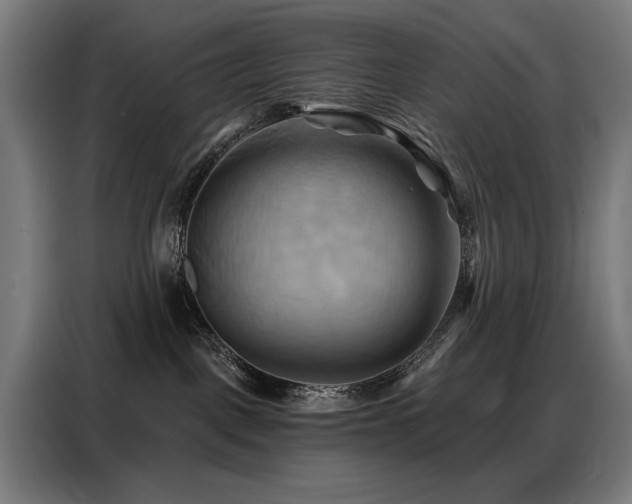 X0000088380093200705221102