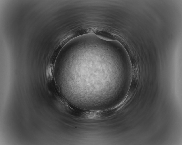 X0000088380094200705221102