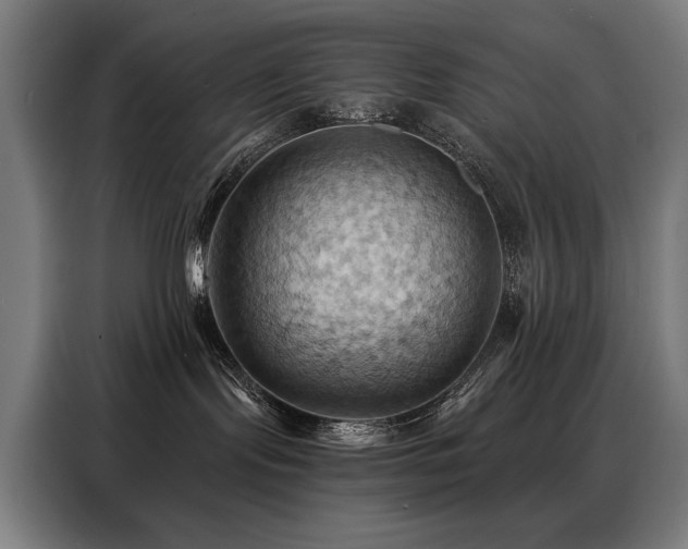 X0000088380095200705221102