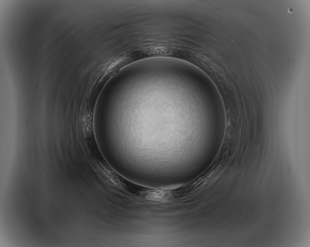 X0000088380096200705221102