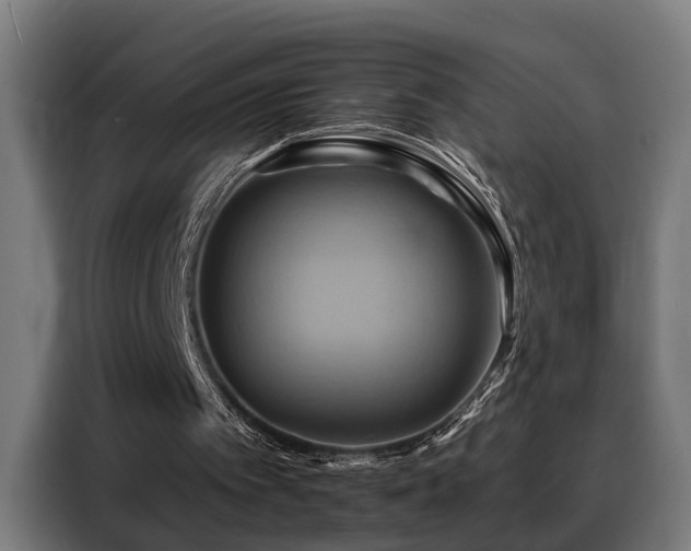 X0000088380097200705221102