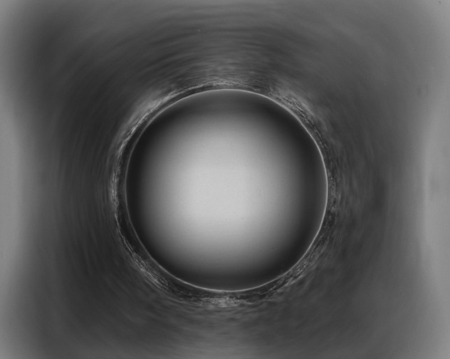 X0000088380098200705221102