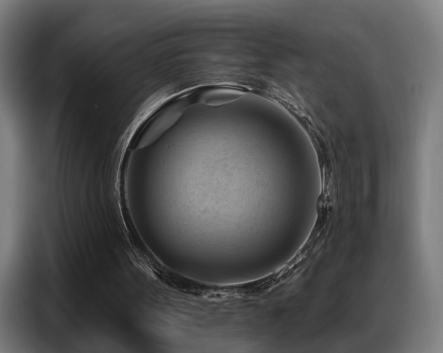 X0000088380099200705221102