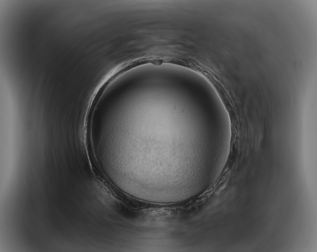 X0000088380100200705221102