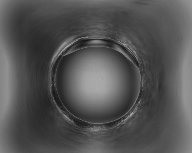 X0000088380101200705221102
