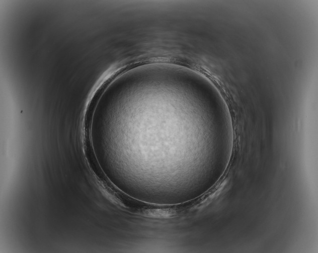 X0000088380102200705221102