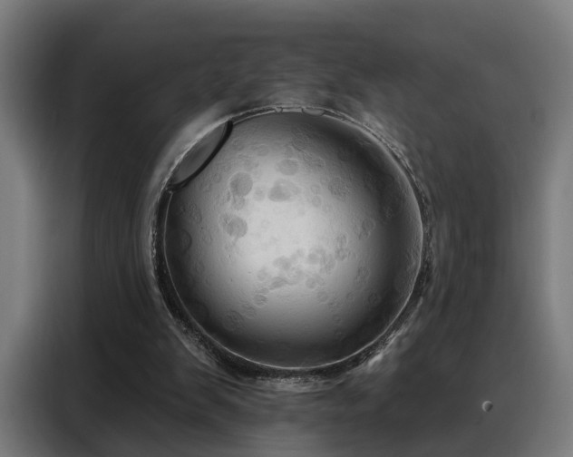 X0000088380103200705221102