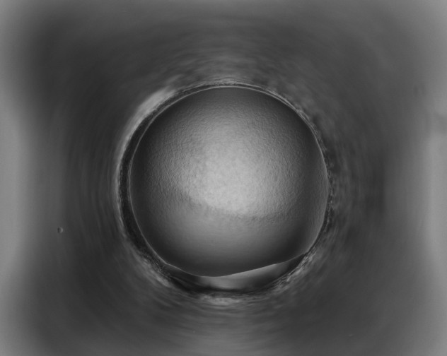 X0000088380104200705221102