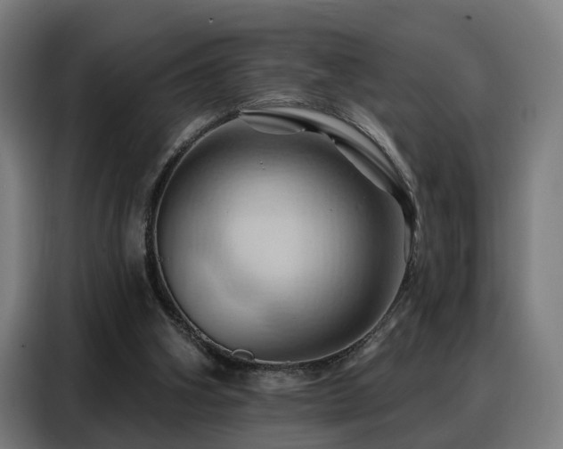 X0000088380106200705221102