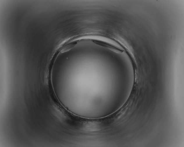 X0000088380107200705221102