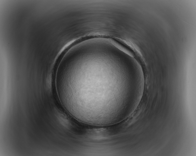 X0000088380108200705221102