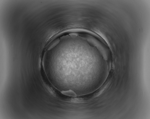 X0000088380109200705221102