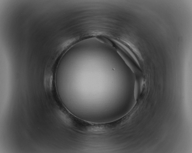 X0000088380110200705221102
