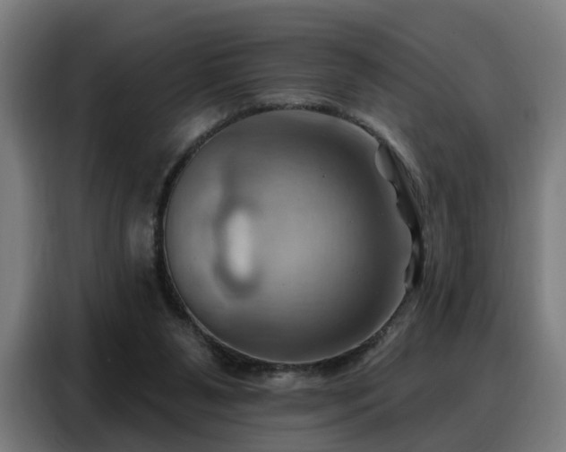 X0000088380111200705221102